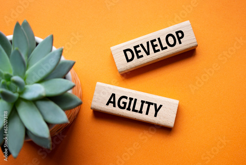 Develop agility symbol. Concept word Develop agility on wooden blocks. Beautiful orange background with succulent plant. Business and Develop agility concept. Copy space