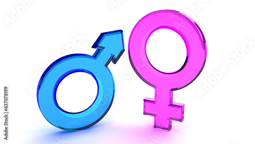 Male and female gender symbols in blue and pink. 3D render. photo