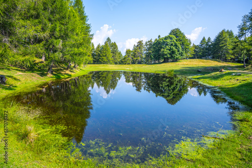 Mountain pond Roccoli Lorla in lush green forest landscape of Bergamo Alps, Italy
