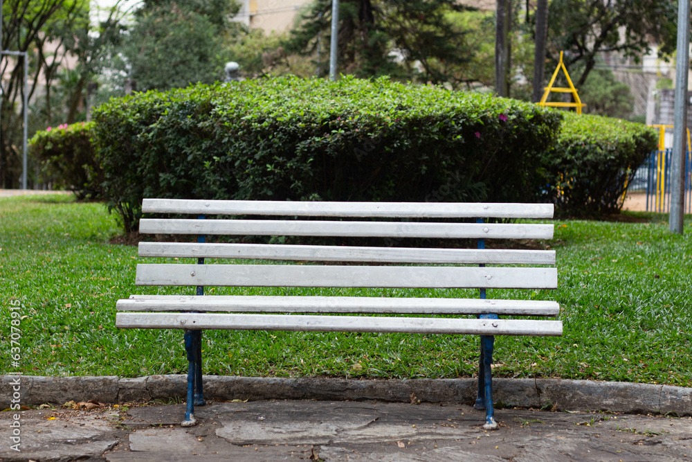 bench in the park bench in the park