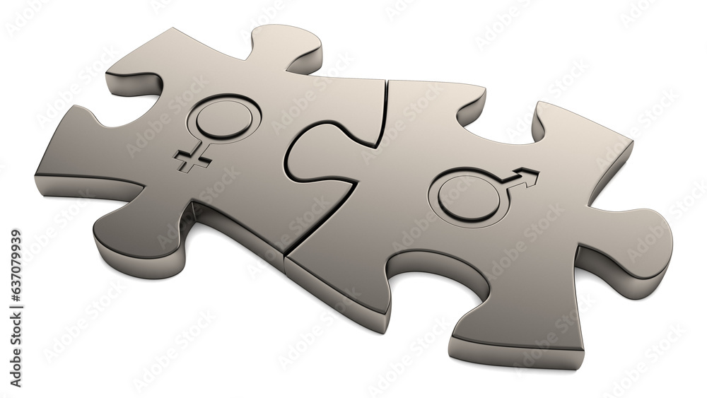 Obraz premium Male and female signs on puzzles. 3D render