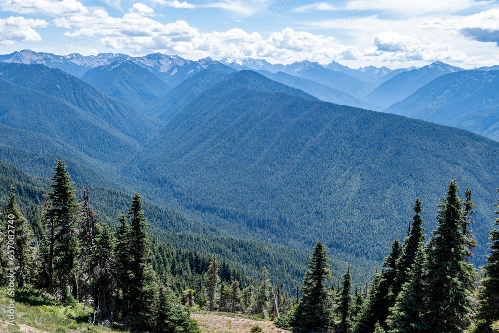 View of Mount Olympus and Olympic Mountains from Hurricane Ridge in Olympic National Park, Washington on sunny summer afternoon..