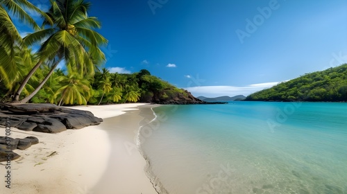 a view of a tropical beach with palm trees  sand  and turquoise water landscape photography Generative AI