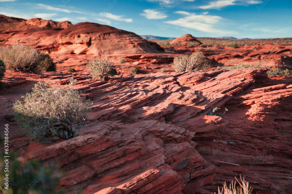 layered rocks in the desert southwest