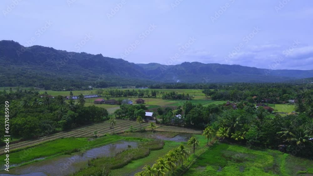 Explore the enchanting world of lush forests and exotic jungles with our collection of high-quality stock footage. From vibrant tropical canopies to dense, ancient woodlands Explore the enchanting world of lush forests and exotic jungles with our collection of high-quality stock footage. From vibrant tropical canopies to dense, ancient woodlands
