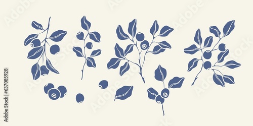 Hand drawn vector blueberry collection