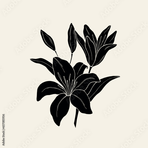 Hand drawn lily flower illustration