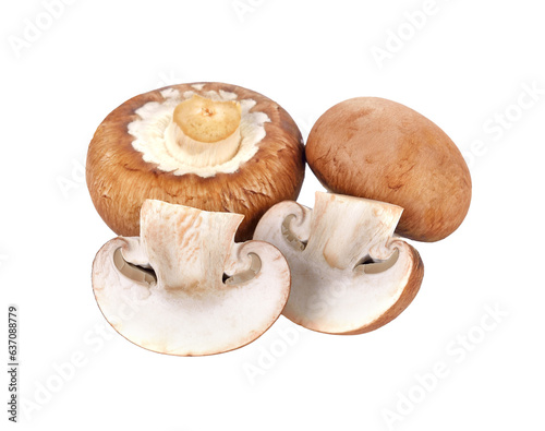 champignon mushrooms transparent png