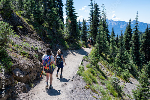 Hikers on Hurricane Ridge trail in Olympic National Park, Washington on sunny summer afternoon.