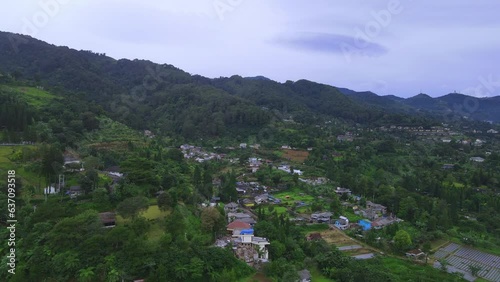 Immerse yourself in the serene beauty of lush, green forests with our collection of high-quality nature photographs. These images capture the tranquility and majesty of nature's woodlands, from dense,