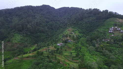 Immerse yourself in the serene beauty of lush, green forests with our collection of high-quality nature photographs. These images capture the tranquility and majesty of nature's woodlands, from dense,