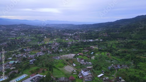 Immerse yourself in the serene beauty of lush, green forests with our collection of high-quality nature photographs. These images capture the tranquility and majesty of nature's woodlands, from dense,