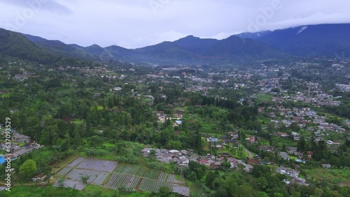 Immerse yourself in the serene beauty of lush, green forests with our collection of high-quality nature photographs. These images capture the tranquility and majesty of nature's woodlands, from dense,