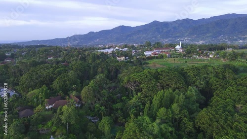 Immerse yourself in the serene beauty of lush, green forests with our collection of high-quality nature photographs. These images capture the tranquility and majesty of nature's woodlands, from dense,