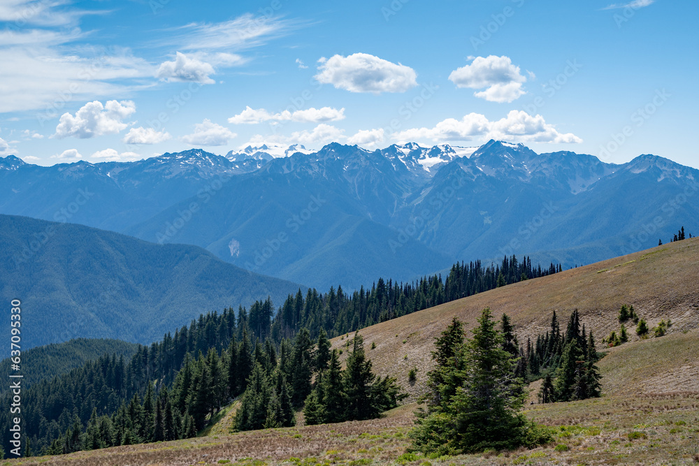 View of Mount Olympus and Olympic Mountains from Hurricane Ridge in Olympic National Park, Washington on sunny summer afternoon..