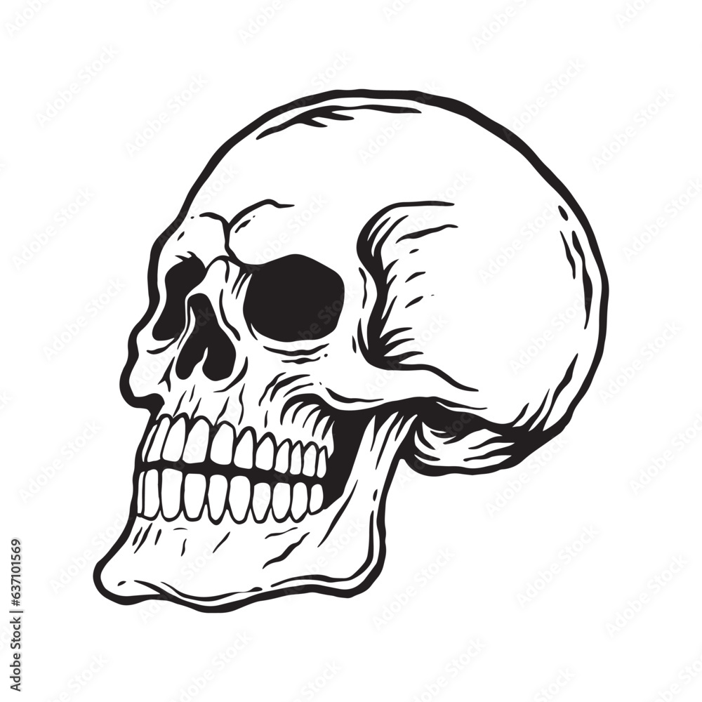 Skull hand drawn illustrations for the design of clothes, stickers, tattoo etc Skull hand drawn illustrations for the design of clothes, stickers, tattoo etc