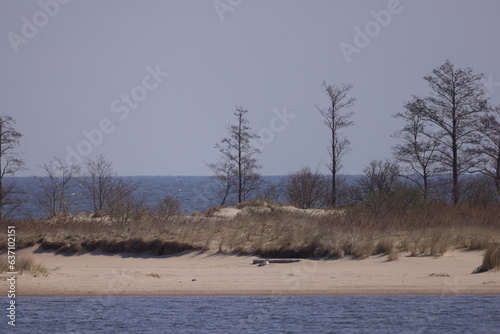 Natural areas with trees connected to the sea