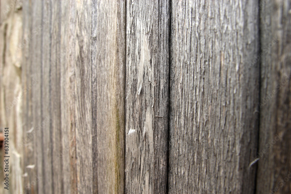 Wooden wall texture Wooden wall texture