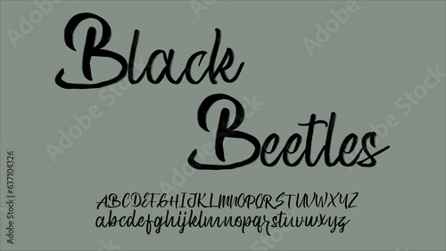 Brush vector font, handmade font uppercase and lowercase.