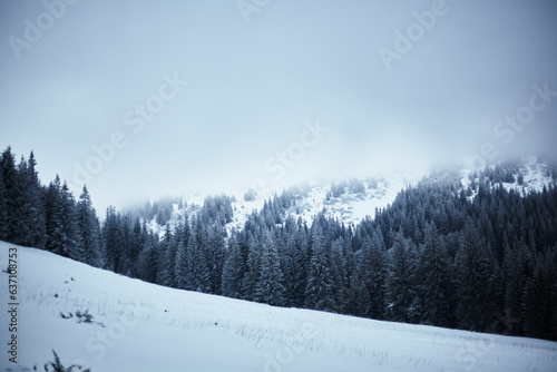 Snowy mountains. Winter landscape of the Carpathians