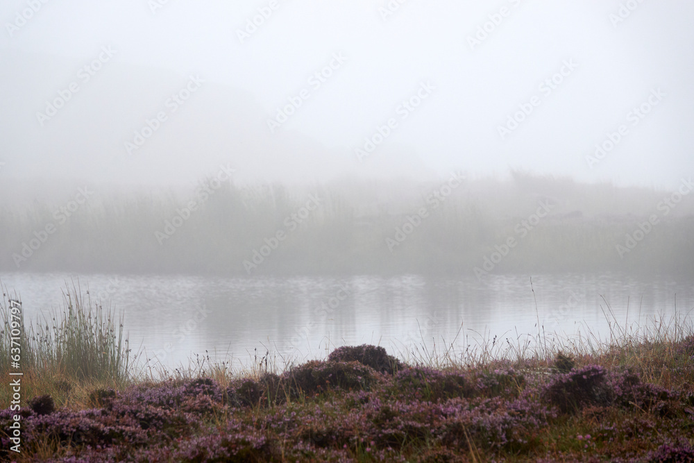 Fototapeta premium fog on the river