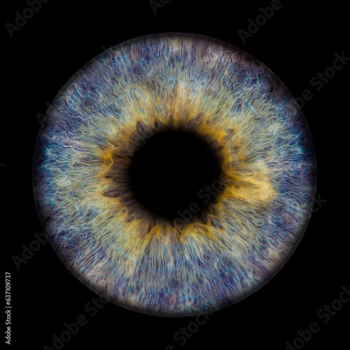 a close up view of an iris of the eye, with some bright streaks in