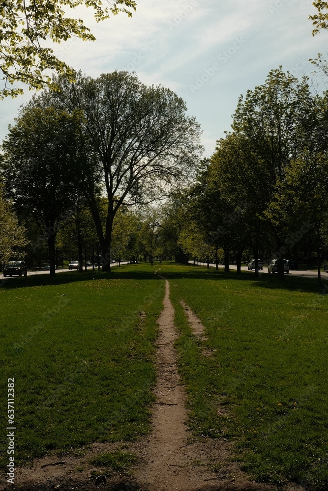 an image of a green park with path leading to trees
