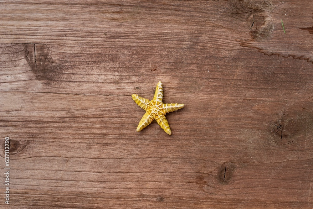 Closeup of a starfish on a wooden background