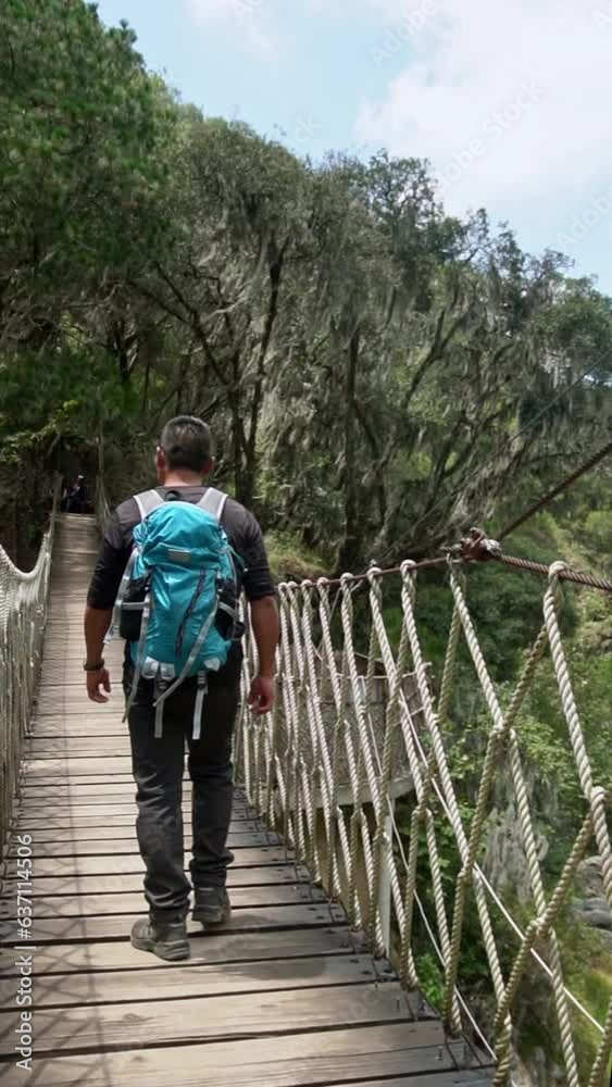 Scenic Exploration: Adventurous Man Walking on a Wooden Bridge in Nature