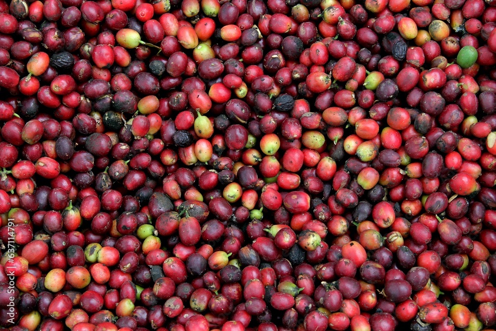 some coffee beans scattered on a surface some coffee beans scattered on a surface