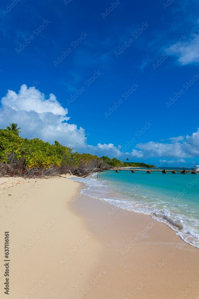 Idyllic beach scene featuring a body of blue and white water surrounded by a clear, bright blue sky