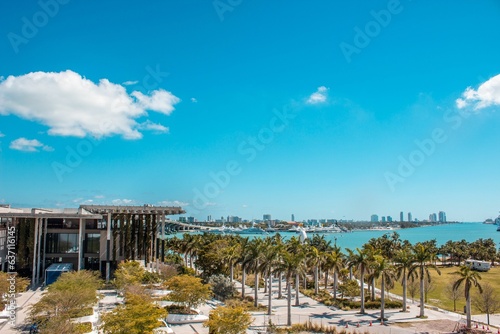 Stunning view of the Miami skyline featuring lush palm trees with the vibrant cityscape