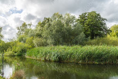 Fordingbridge, UK - August 19th 2023: Trees on the bank of the River Avon.