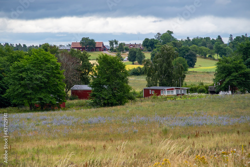 Husen och träden