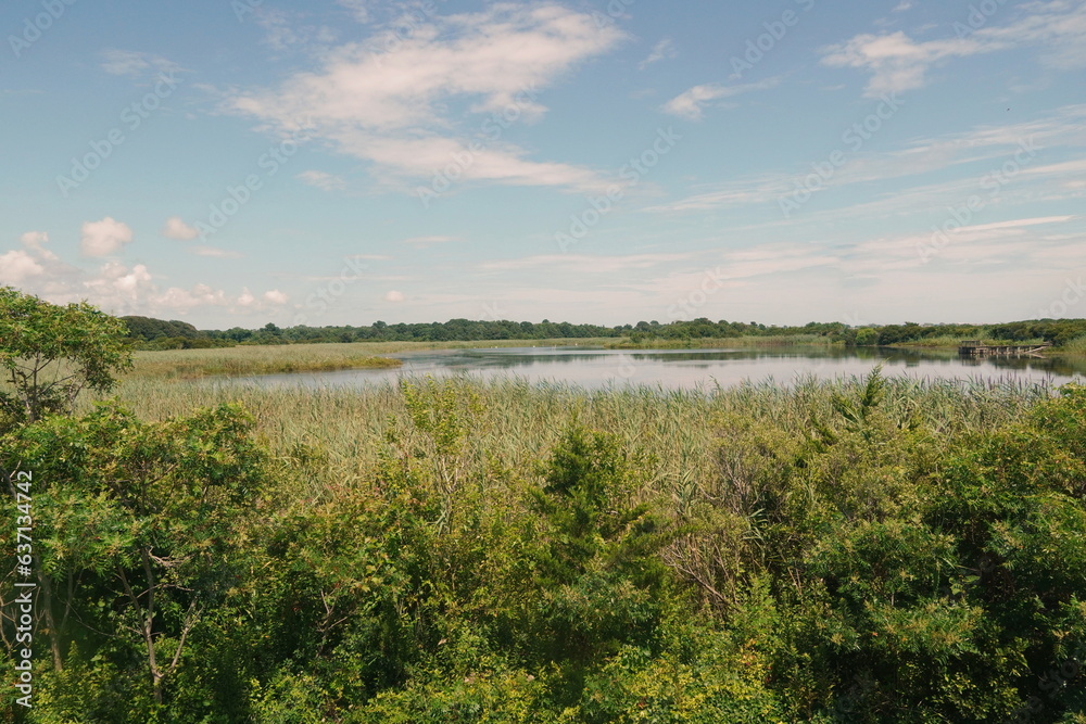 Wetlands at Cape May with Birds, Grasses , Water and Sky in Summer Wetlands at Cape May with Birds, Grasses , Water and Sky in Summer