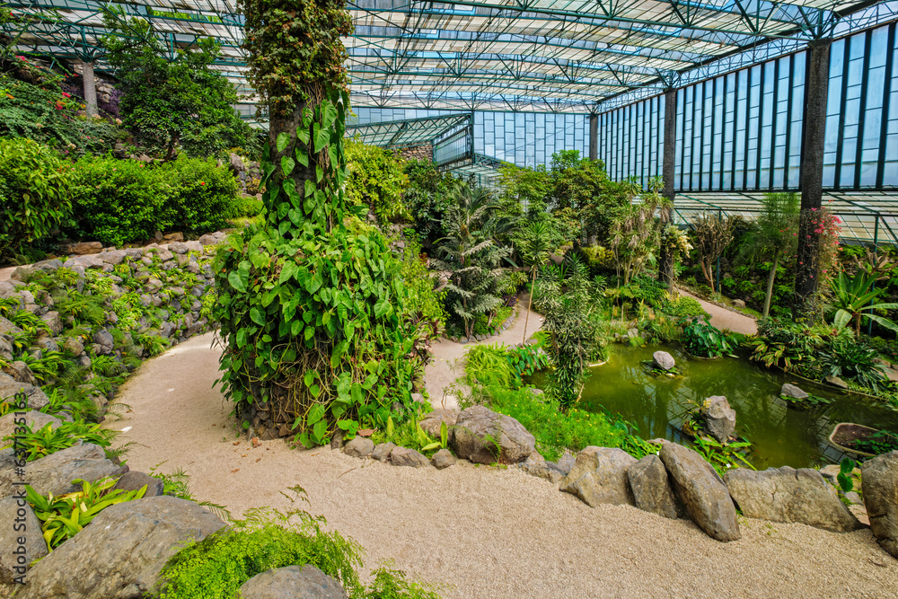 Interior view of the cold house Estufa Fria is a greenhouse with gardens, ponds, exotic plants and trees in Lisbon, Portugal