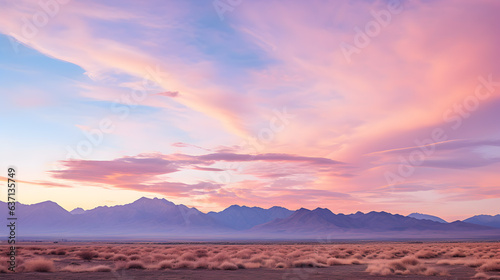 Beautiful pink sunset in the desert