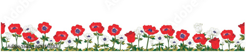 Konstfotografi Horizontal banner decorated with red and white anemone flowers and leaves border