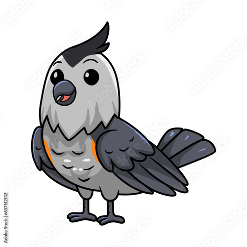 Cute black crested titmouse cartoon