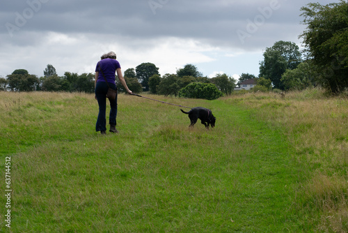 A woman walking a dog in the countryside