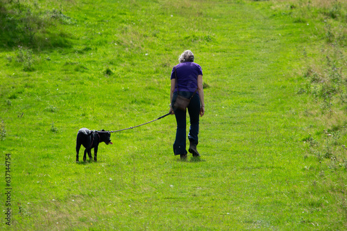 A woman walking a dog in the countryside