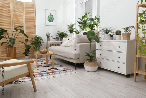 Stylish room with comfortable sofa  coffee table  chest of drawers and beautiful houseplants. Interior design
