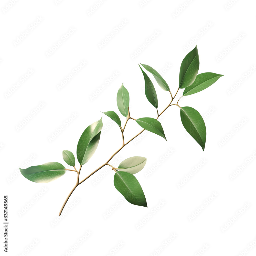 transparent background with green foliage