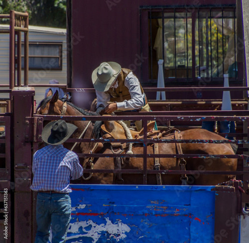 A cowboy is leaning over a railing preparing his bucking bronco to ride it at a rodeo. The cowboy is wearing blue and brown vest. The horse is brown and in a narrow coral. Another cowboy is at gate.