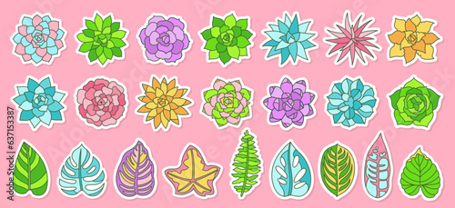 Succulent houseplant cartoon sticker set. Scrapbook label home plant urban tropical jungle badge. Succulents hand drawn desert flower childish collection. Floral garden design for diary planner vector