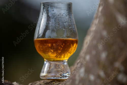 Single malt Scotch whiskey in the Glencairn glass in selective focus.