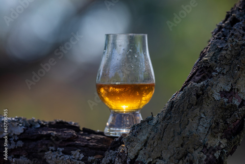 Single malt Scotch whiskey in the Glencairn glass in selective focus. © Adilson
