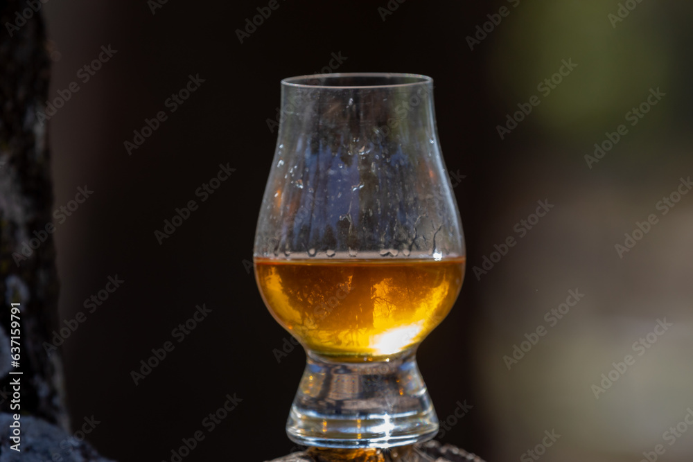 Single malt Scotch whiskey in the Glencairn glass in selective focus. Single malt Scotch whiskey in the Glencairn glass in selective focus.