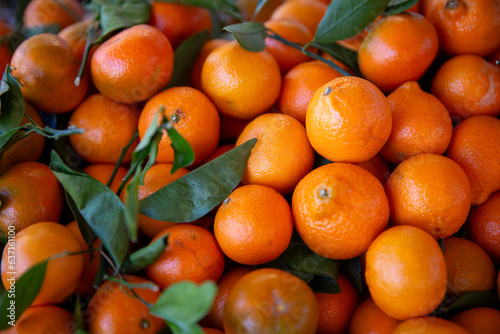 Bunch of Tangerines