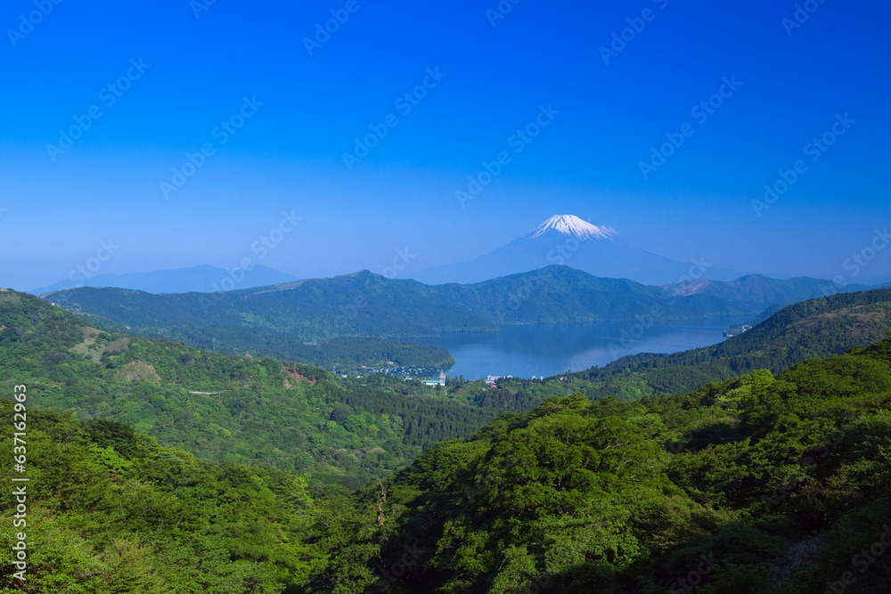 新緑の富士山と芦ノ湖